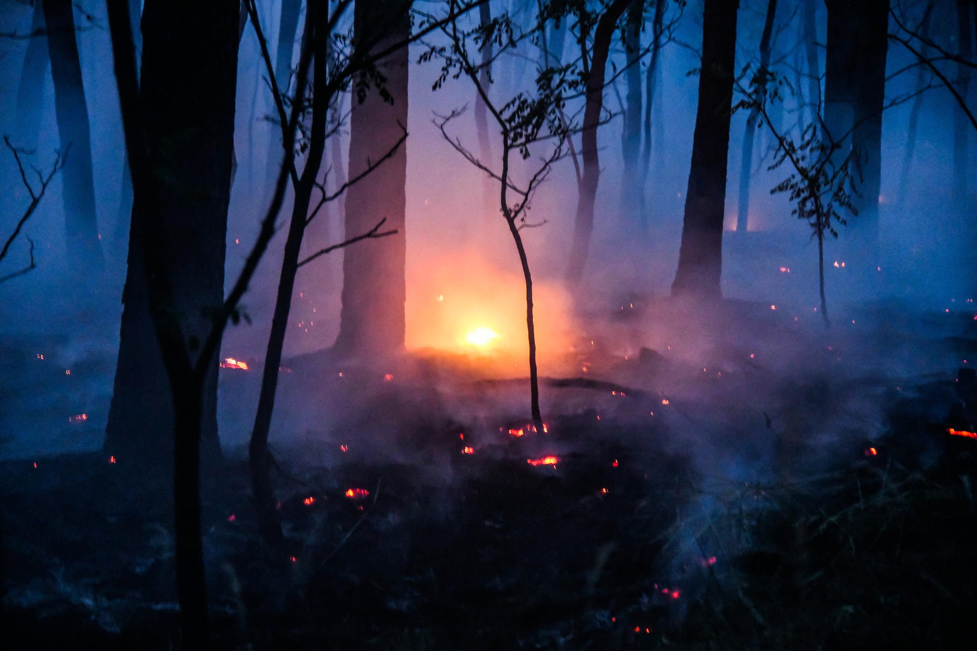 Nach Rekordhitze Waldbrand in Jüterbog weitet sich aus