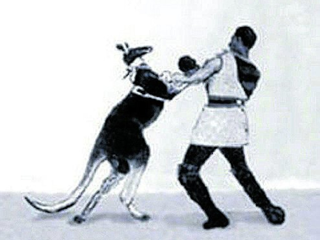 Szene aus dem Streifen „Das boxende Känguru“ von 1895.