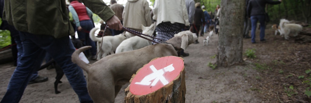 Berliner Tierfreunde protestieren gegen das Hundeverbot auf dem Uferweg am Schlachtensee.