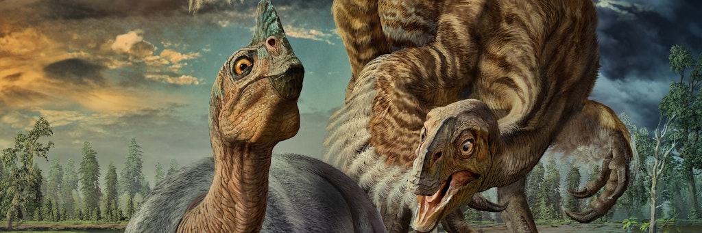 So sah vermutlich der gefiederte Oviraptor philoceratops aus. Vor rund 70 Millionen Jahren hatte sein Jahr 372 Tage.