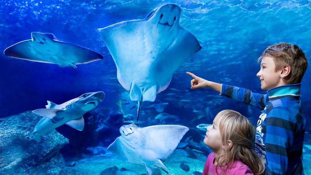 Liebe Kinder! Wenn die Corona-Krise vorbei ist, dürft ihr auch wieder ins Sea Life und Aquadom in Berlin-Mitte. Unter allen Kindern, die uns ein schönes, gemaltes Bild zusenden, verlosen wir 10 Familien-Tages-Tickets, die noch ein ganzes Jahr gültig sind!