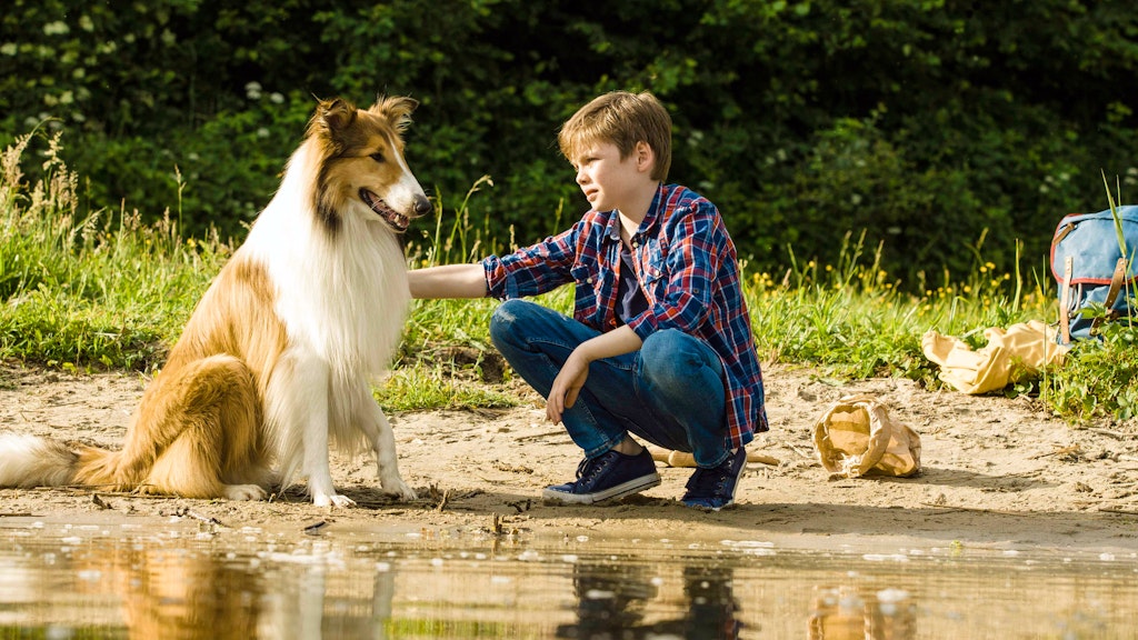 „Lassie – Eine abenteuerliche Reise“ läuft seit 20. Februar in den Kinos: Rechts: Nico Marischka als Flo.