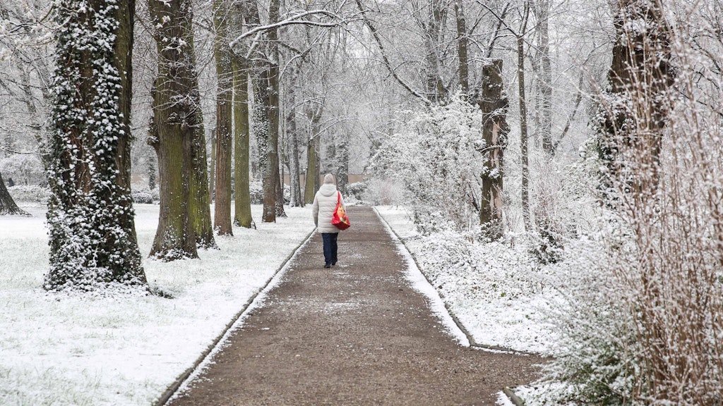 Ein Bild wie aus dem tiefsten Winter: Ein Berliner Park am Montag.