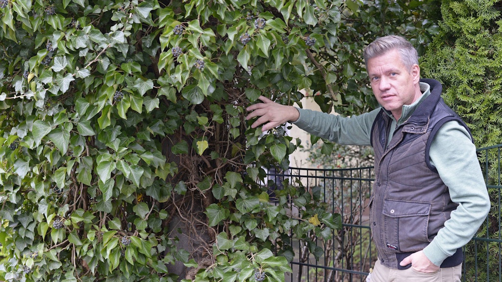 Ingo Schreiber macht sich für die Natur vor seiner Haustür stark.