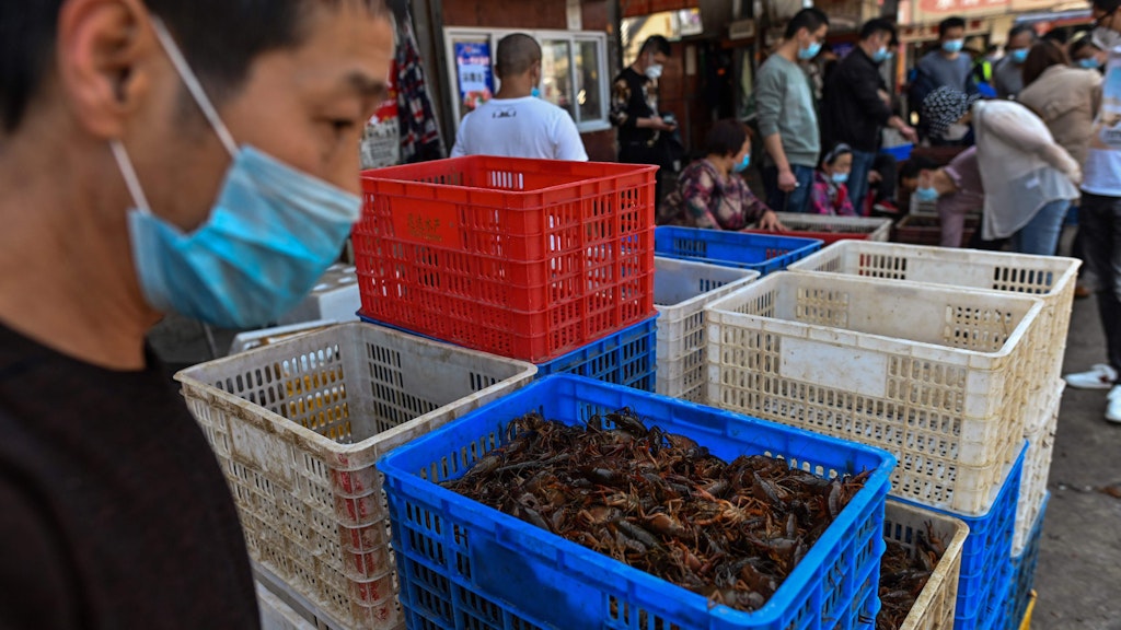 Ein Fischmarkt in Wuhan - auf einem solchen Markt war das neuartige Coronavirus im Dezember 2019 erstmals aufgetaucht.