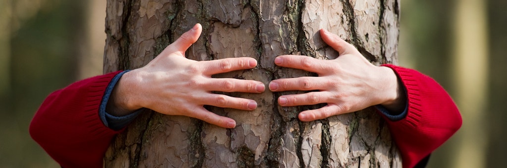 Traurig? Vielleicht hilft es ja, einen Baum zu umarmen.