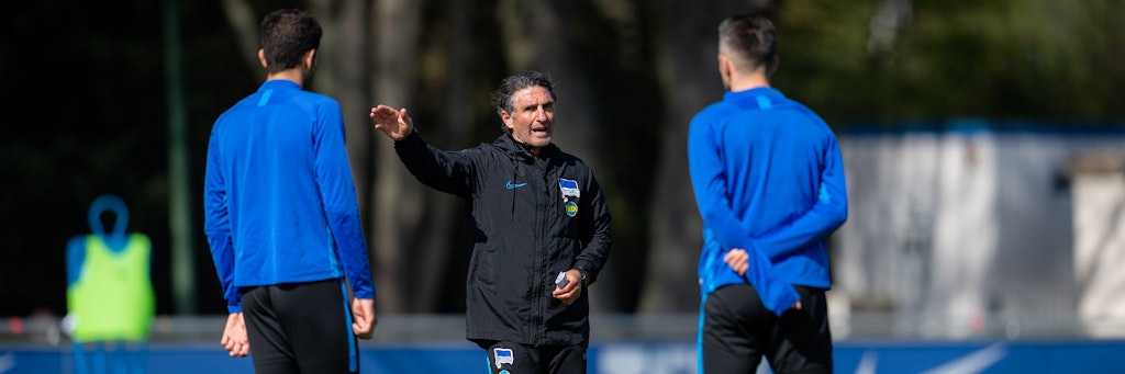 Aufmerksam lauscht Vedad Ibisevic (r.), was Trainer Bruno Labbadia ihm zu sagen hat.