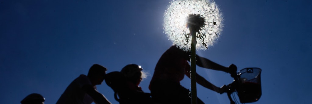Der wolkenlose Himmel lockt viele Menschen dazu, sich an der frischen Luft zu bewegen. US-Wissenschaftler vermuten, dass dies die Ausbreitung des Coronavirus stoppen könnte.