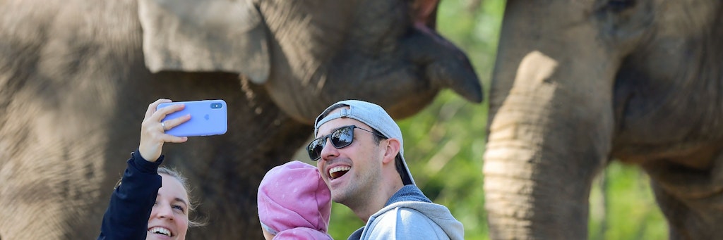 Gleich einmal vor den Zoo-Elefanten ein Selfie machen: Die Freude der Berliner ist groß, dass sie wieder in die Tiergärten dürfen.