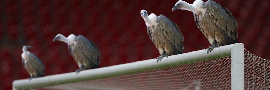 Die Pleitegeier warten schon, um sich an den insolvent gehenden Klubs der Liga zu laben. 