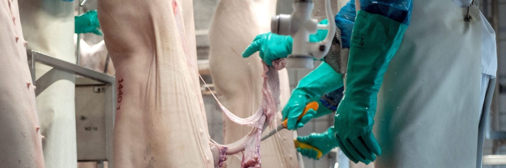 Arme Schweine. Damit ist in Deutschlands Schlachthöfen häufig weniger das Vieh gemeint, sondern die Belegschaft.