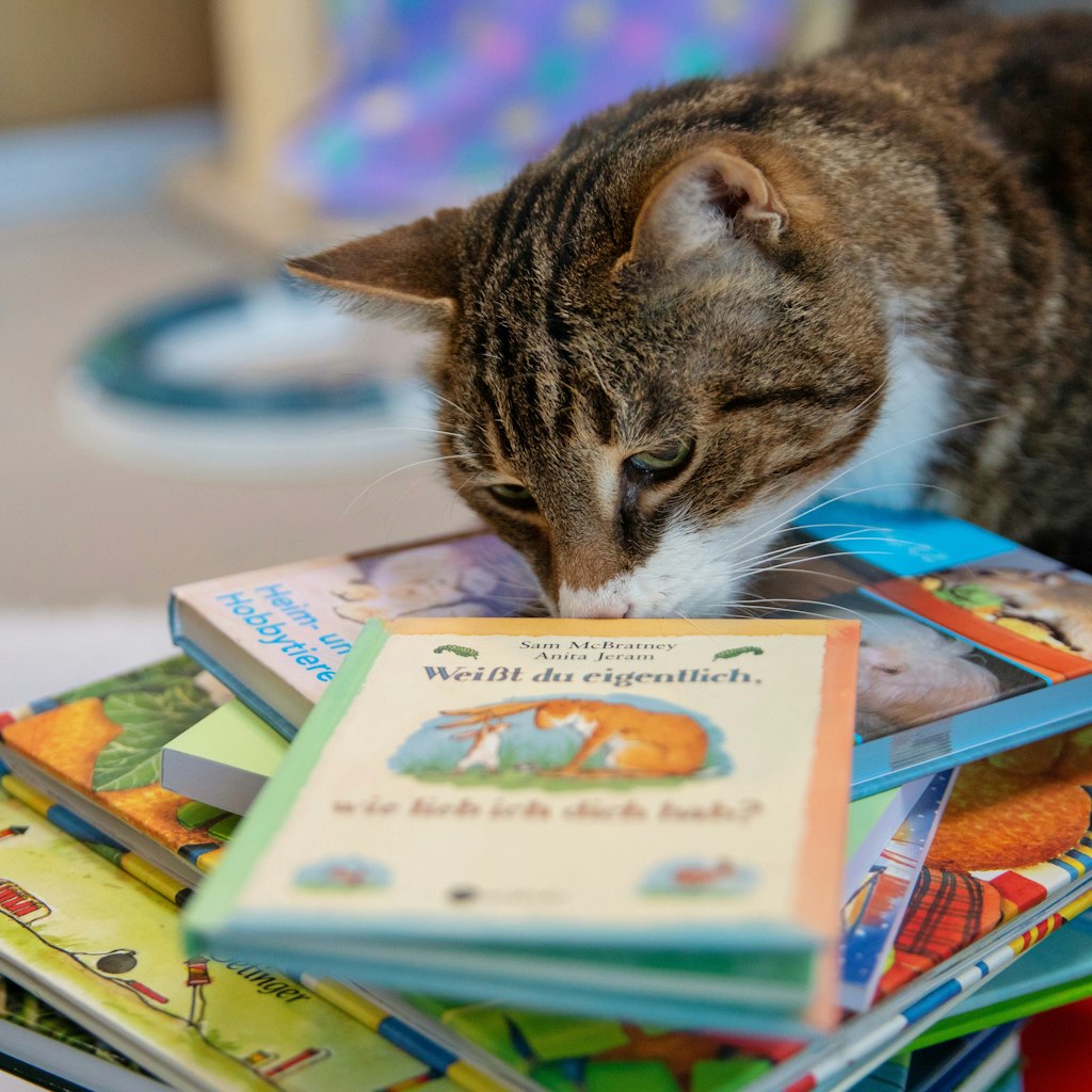 Im Seniorenhaus des Tierheims sind Kinder mit ihren Büchern gern gesehen. 