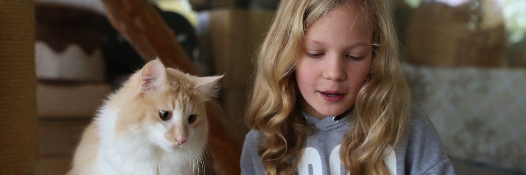 Die eine übt lesen, die andere freut sich über menschliche Zuwendung. Das Projekt "Kinder lesen für Katzen" im Berliner Tierheim kommt gut an. 