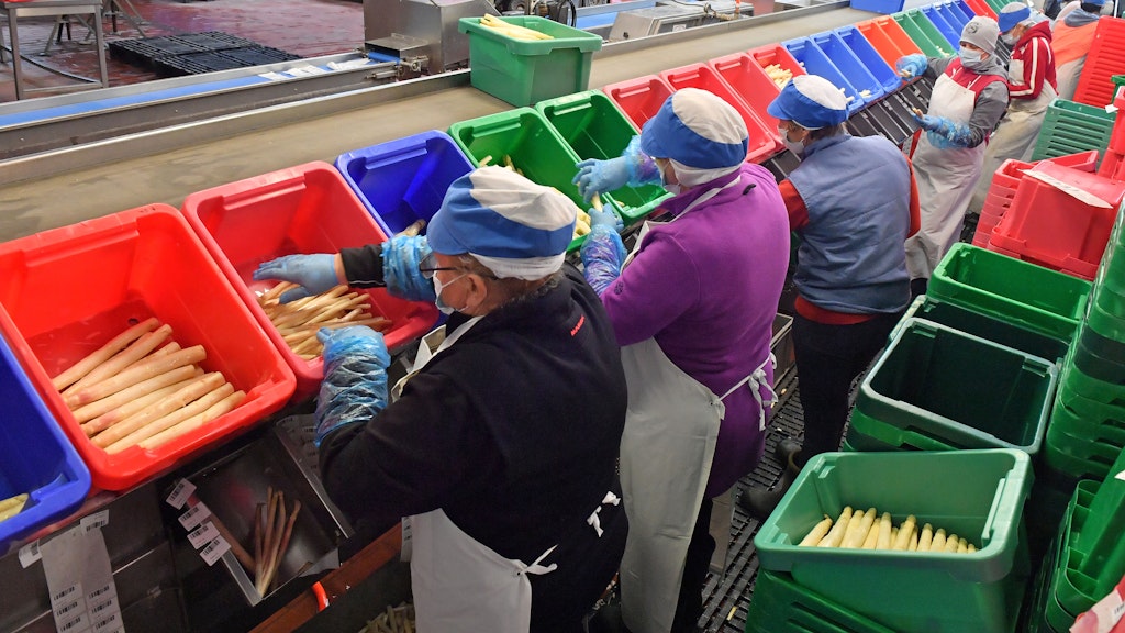 Mundschutz, Handschuhe – auch Erntehelfer müssen die Corona-Regeln strikt einhalten.