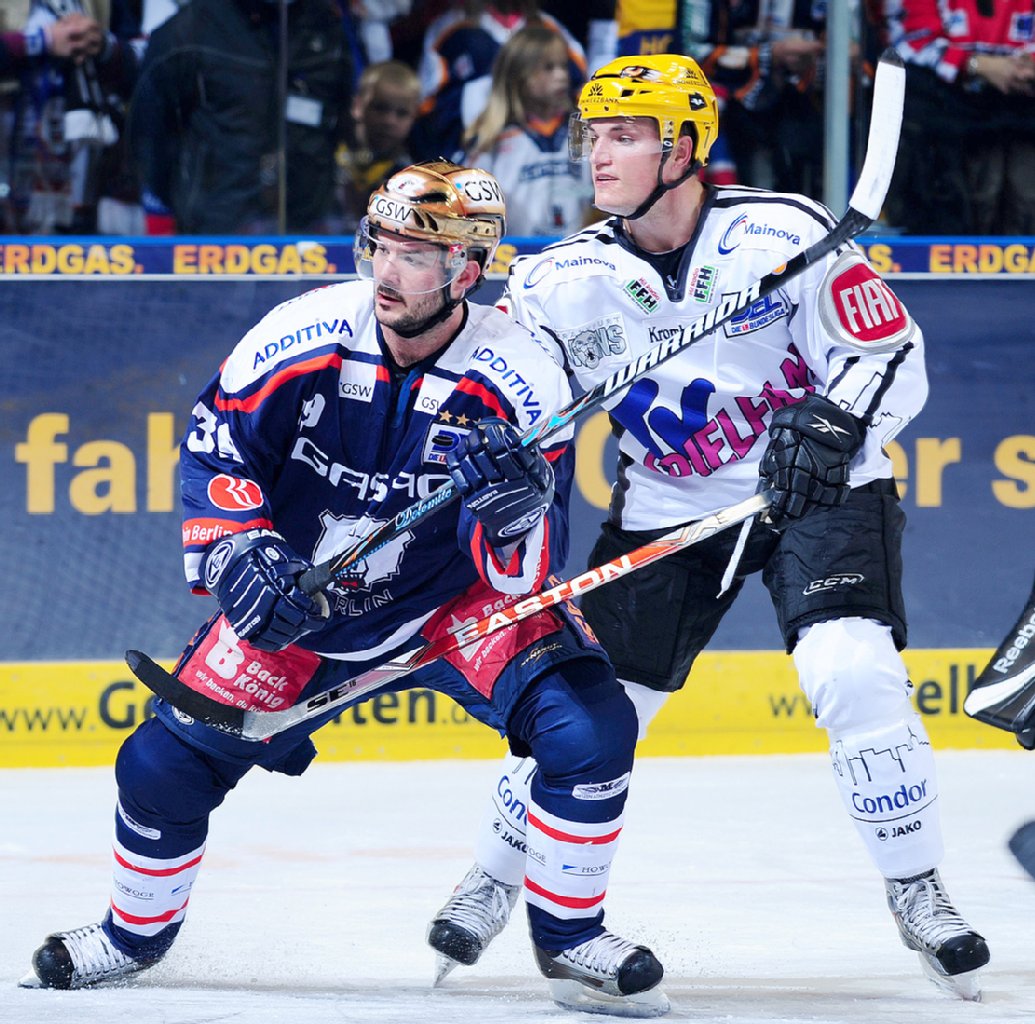 Image - Aus Sibirien in die Hauptstadt: Ein Angell verleiht den Bären Flügel