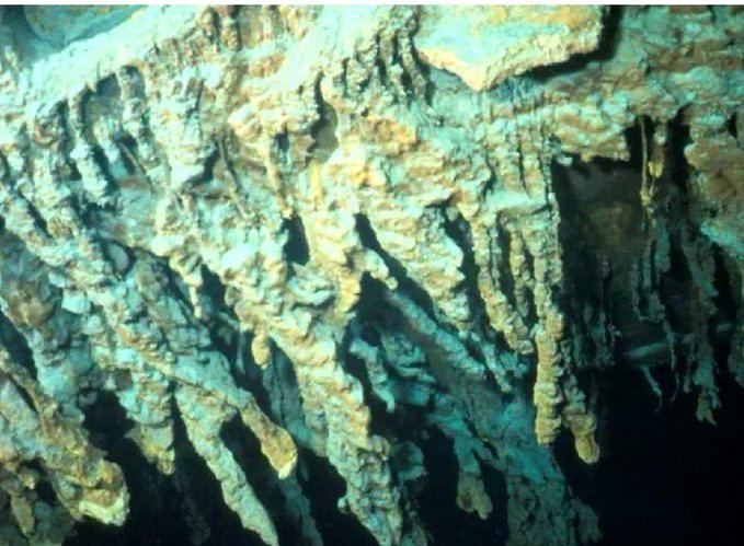 Das Bakterium Halomonas titanicae wurde an der Hülle der Titanic entdeckt. Es baut Metall ab.