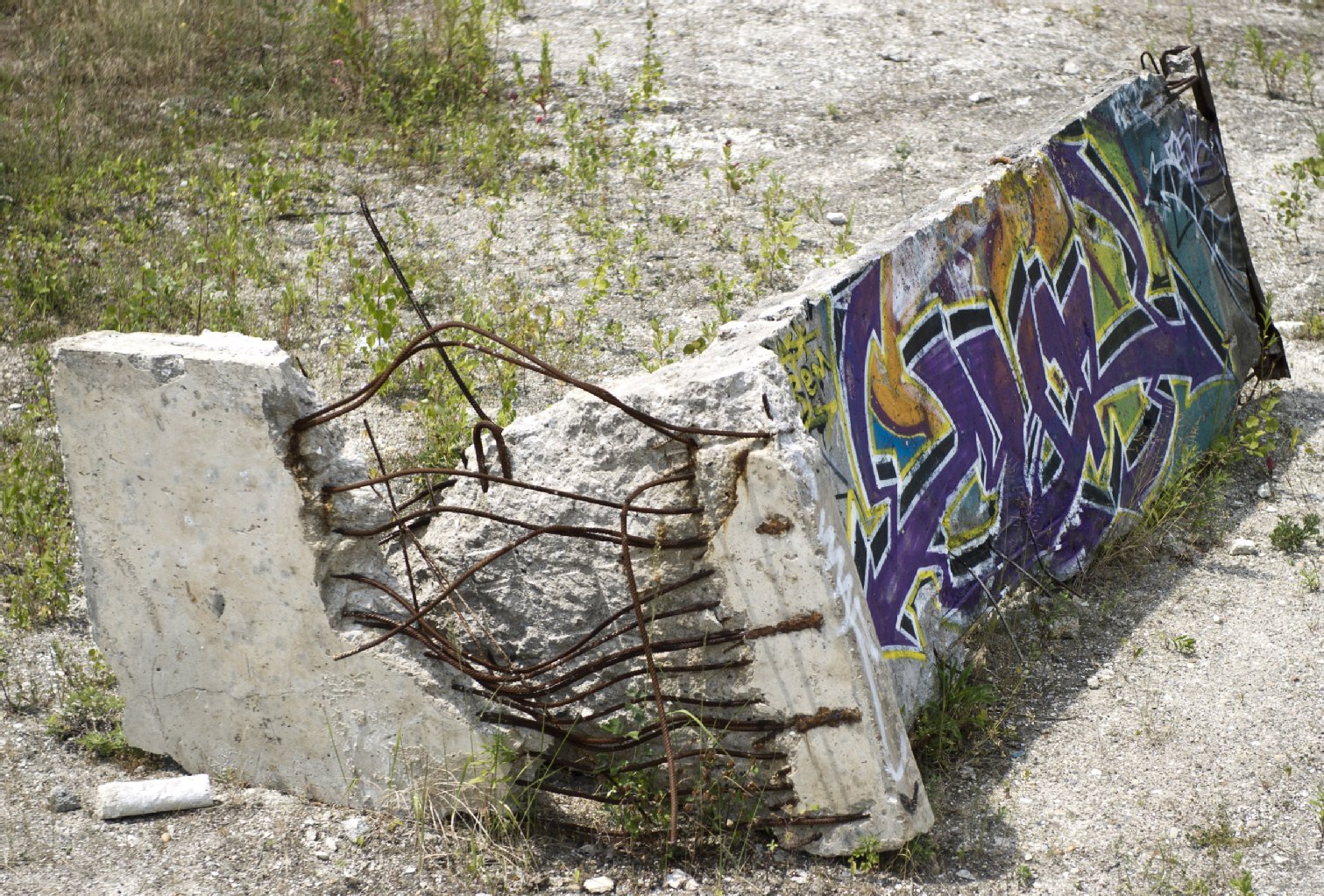 Segmente der Berliner Mauer stehen am Teltow Kanal nahe der brandenburgischen Stadt Kleinmachnow an der Berliner Stadtgrenze.