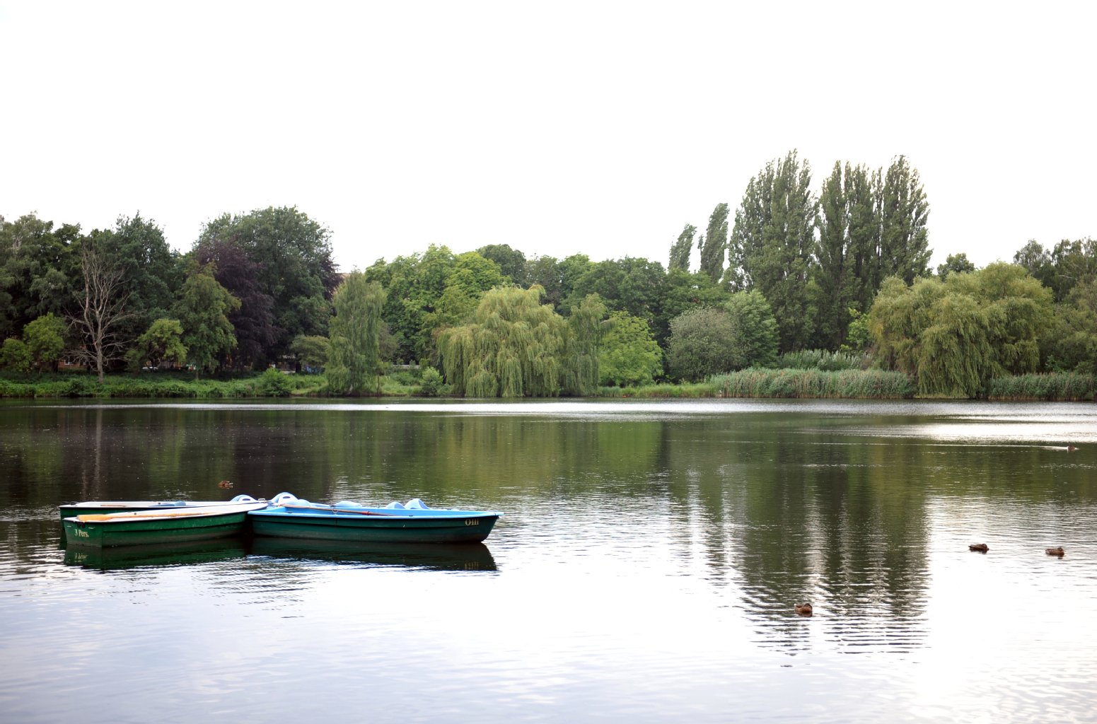 Am Schäfersee fanden Spaziergänger den abgetrennten Kopf des 31-jährigen Österreichers.