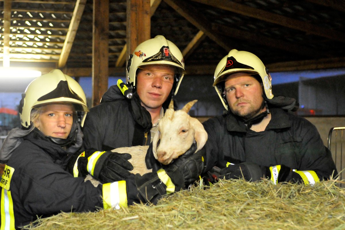 Eine Feuerwehrfrau (l.) und zwei Feuerwehrmänner mit einer geretteten Ziege im Arm.