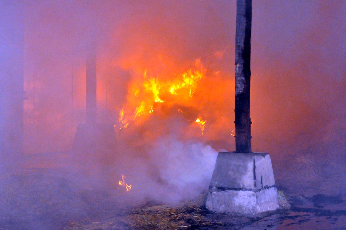 In der Nacht stifteten Unbekannte feuer auf dem idyllischen Ziegenhof.