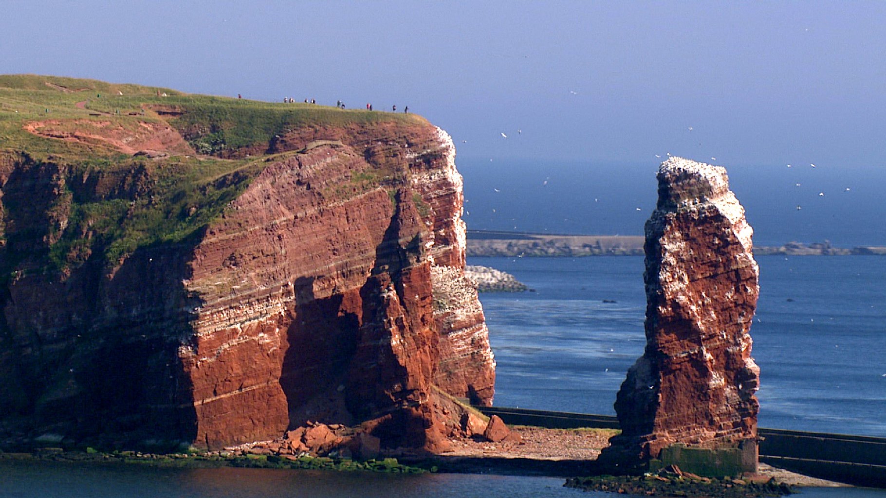 Image - Wir laden 20 KURIER-Leser ein: Auf nach  Helgoland!
