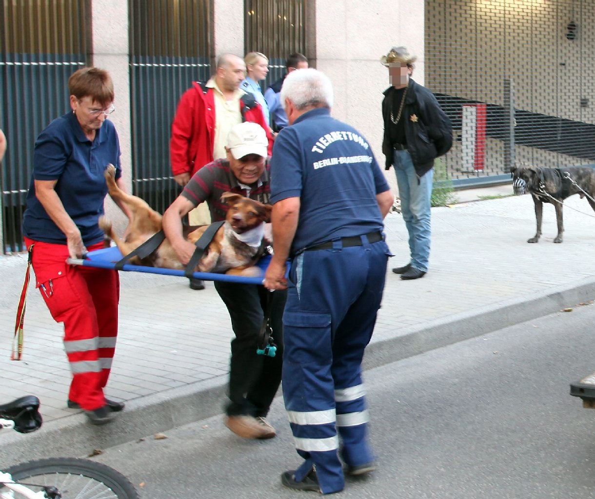 Aufgeregt hält der Besitzer seinen schwerverletzten Hund. Völlig gleichgültig schaut das Beißer-Herrchen im Hintergrund der dramatischen Rettung zu. Seinen Hund hat er an einer Laterne angeleint.