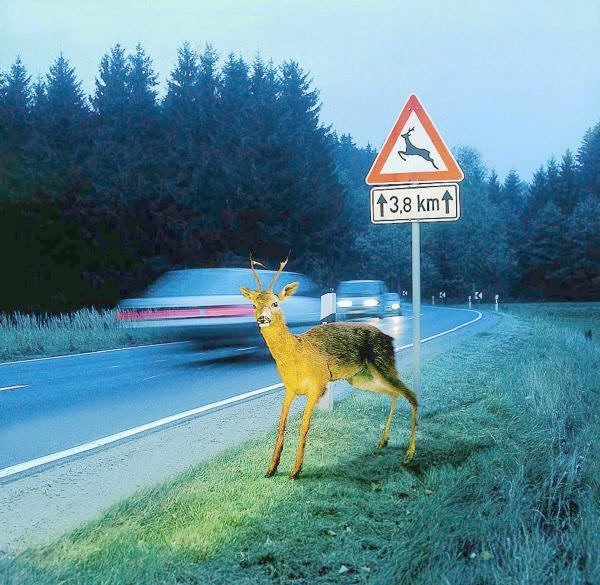 Image - Zeitumstellung: Heute besonders aufpassen ...