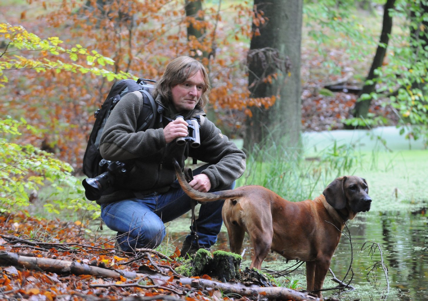 Image - Wolfsfälscher ZDF gestellte Szenen bessern Andreas Kieling Hunde Wölfe