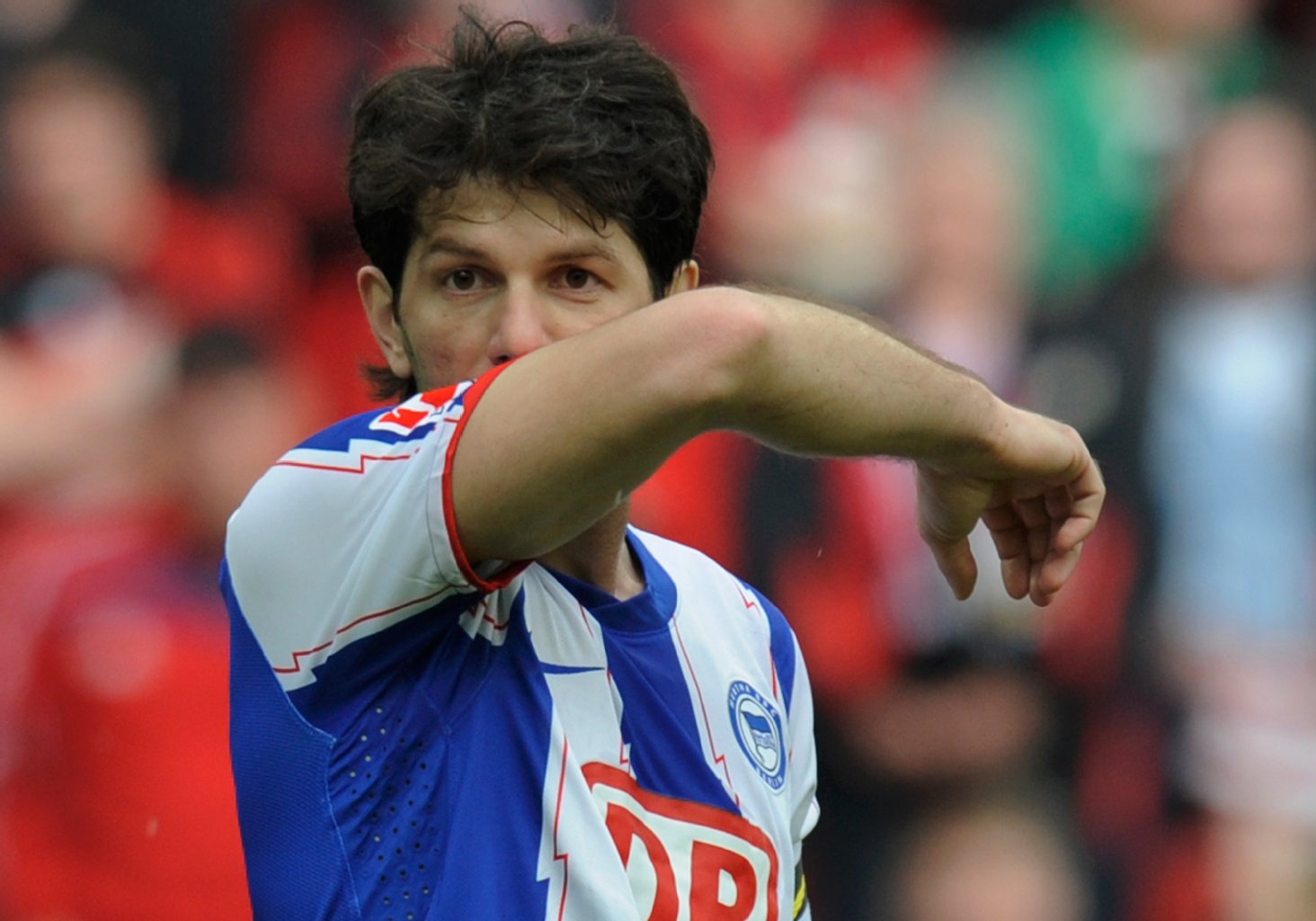 Image - DFB-Sportgericht sperrt Hertha-Trio Kobiaschwili bis Ende 2012 Hertha BSC Berlin