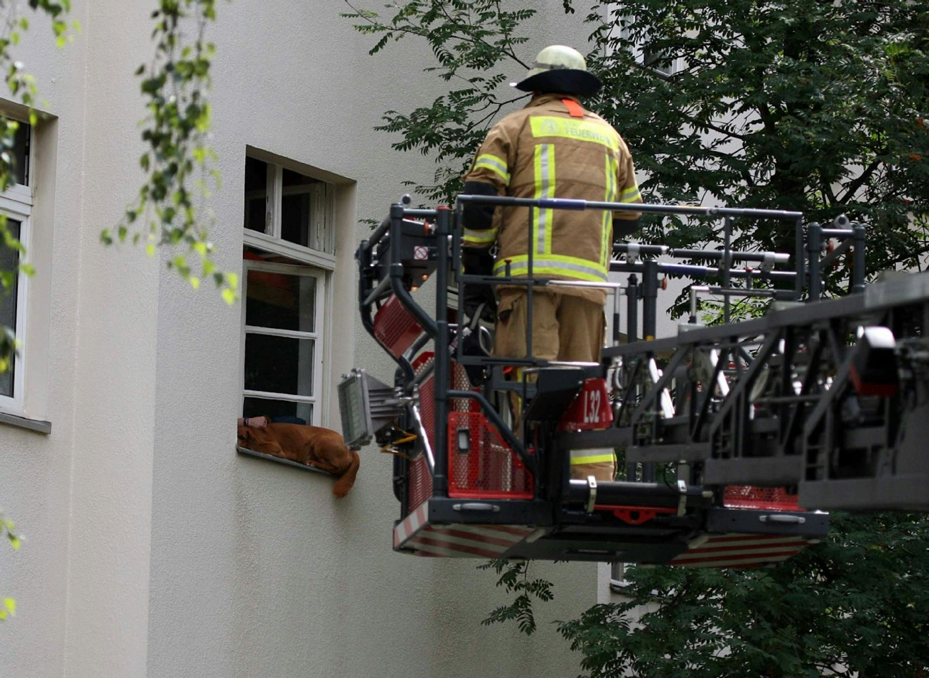 Noteinsatz Feuerwehr Hund gerettet Neukölln