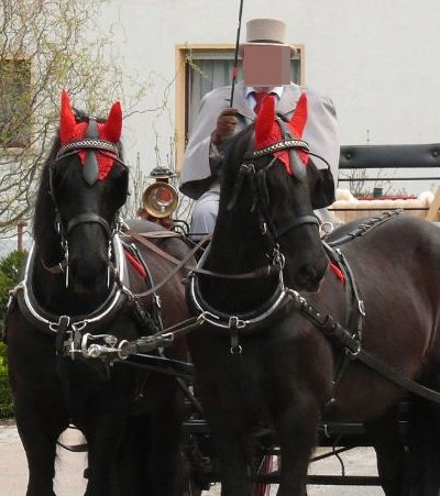 Schwere Vorwürfe: Hat dieser Reitlehrer sechs Kinder missbraucht?