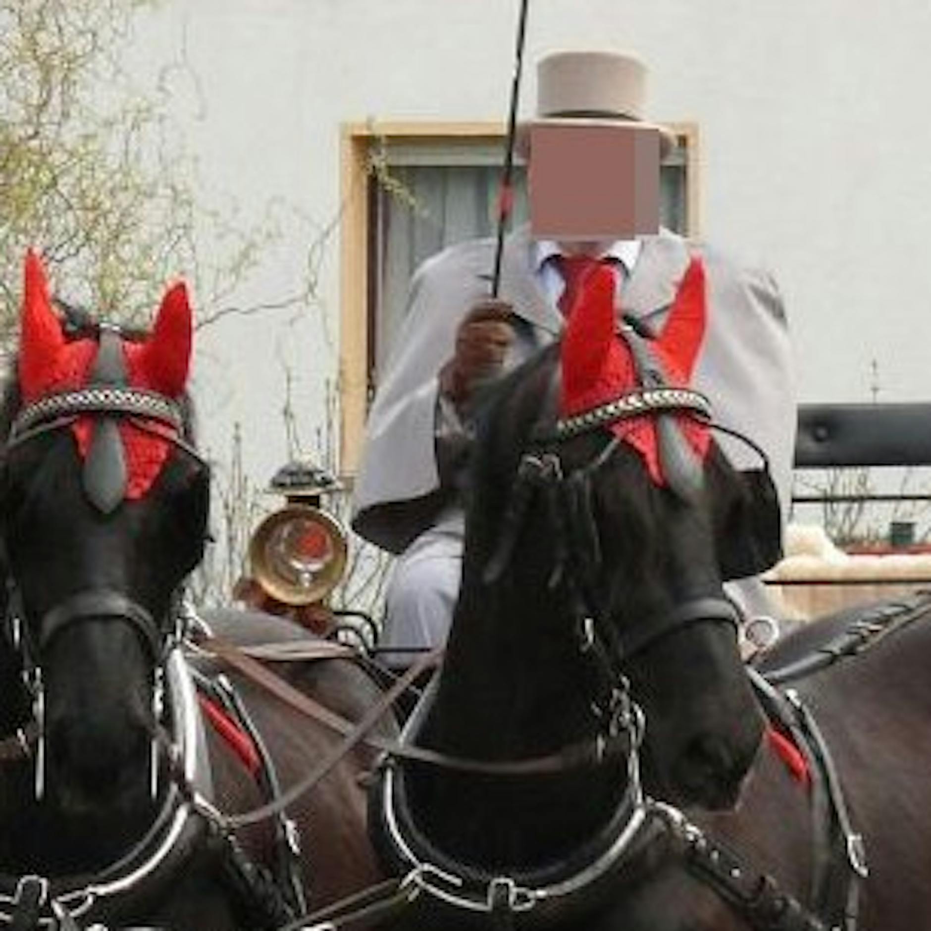 Schwere Vorwürfe: Hat dieser Reitlehrer sechs Kinder missbraucht?
