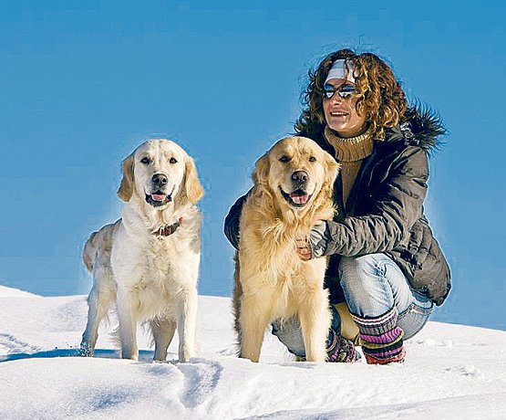 Image - Jetzt gibt’s Verlängerung! Wer wird der 11. Gewinner?