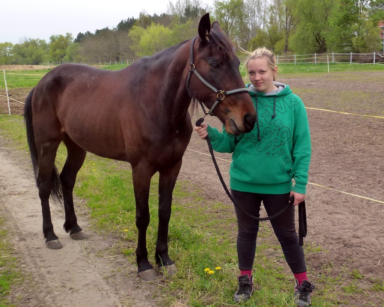 Am Tag nach dem Amok-Trab steht die Stute Bora Geran (6) mit Pflegerin Jackie auf einer Wiese in Kleinbeuthen.