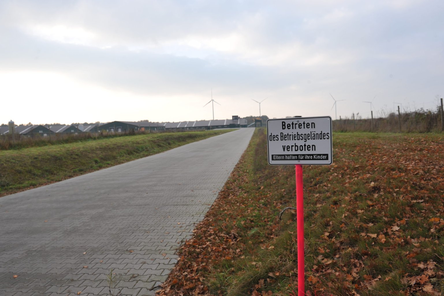 Das Gelände der Firma Landkost in Bestensee. Jetzt gibt es neue Vorwürfe gegen den Eier-Erzeuger.