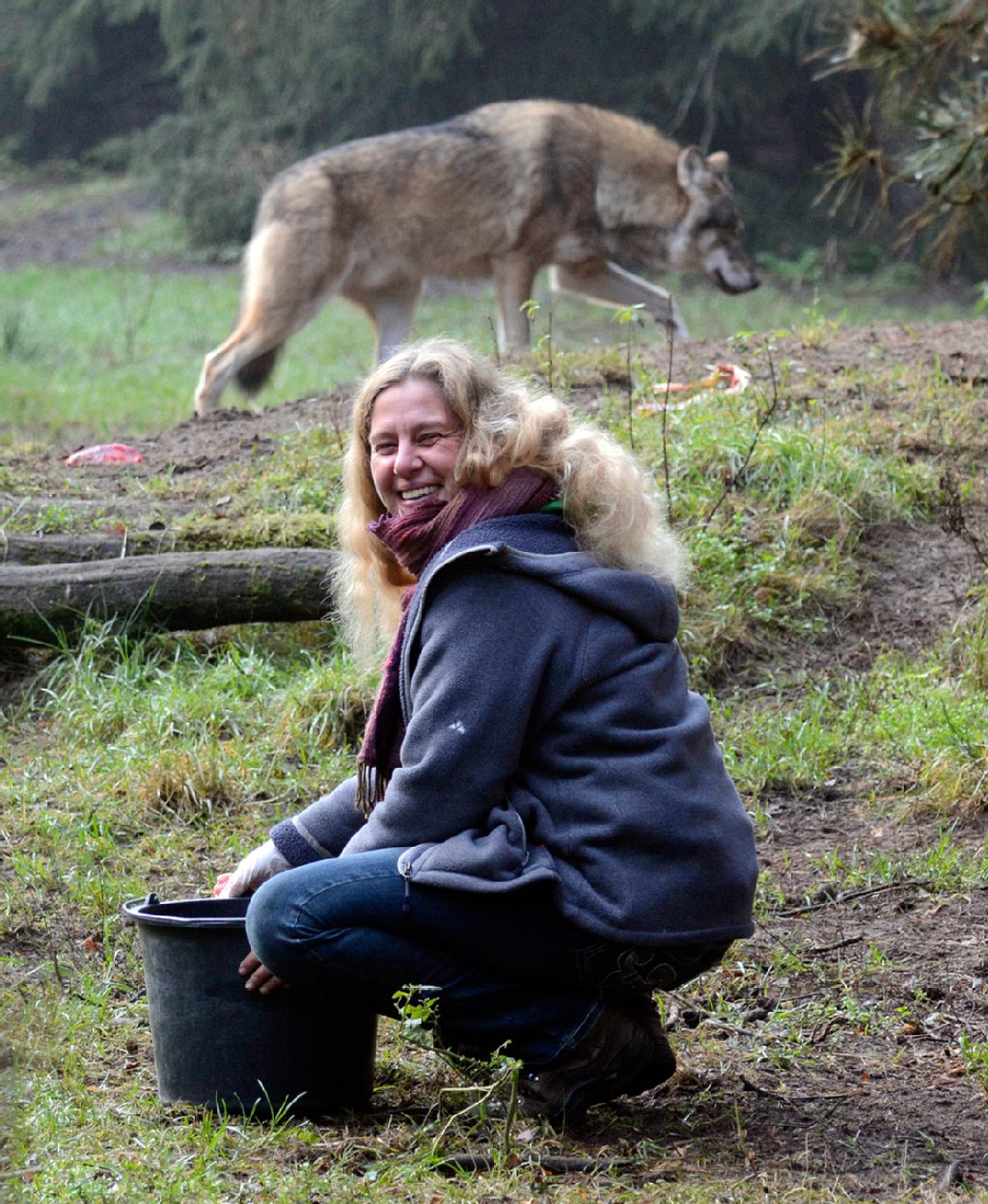 Imke Heyter (42) zog alleWölfe imWildpark Schorfheide mit der Flasche auf. Trotzdem hat sie Respekt.
