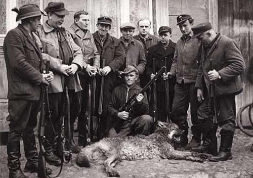 Nach „erfolgreicher“ Jagd 1961 in Mehlsdorf: Zehn Jäger scharen sich um einen toten Wolf, vor dem sich die Bevölkerung zuvor geängstigt hatte.