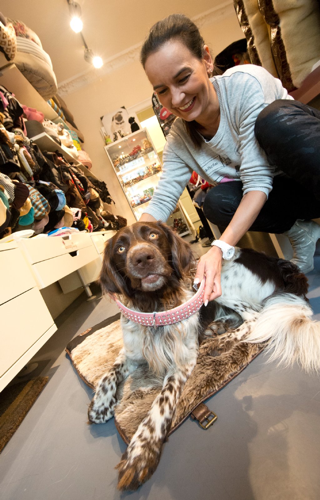 Im Society Dog verpasst Karina Mocada dem Münsterländer Linus (2) ein neues Halsband: „Monte Carlo“ für 139,99 Euro
