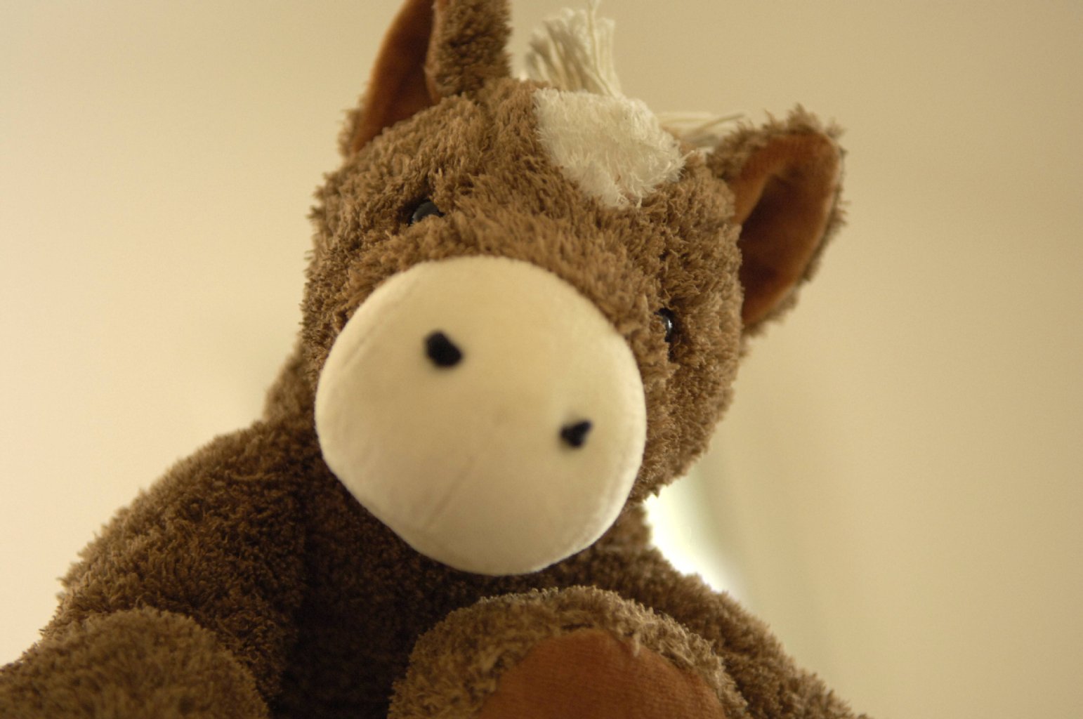 Image - Wo die Liebe hinfällt: Walmart: 19-Jähriger hat Sex mit Plüschtier