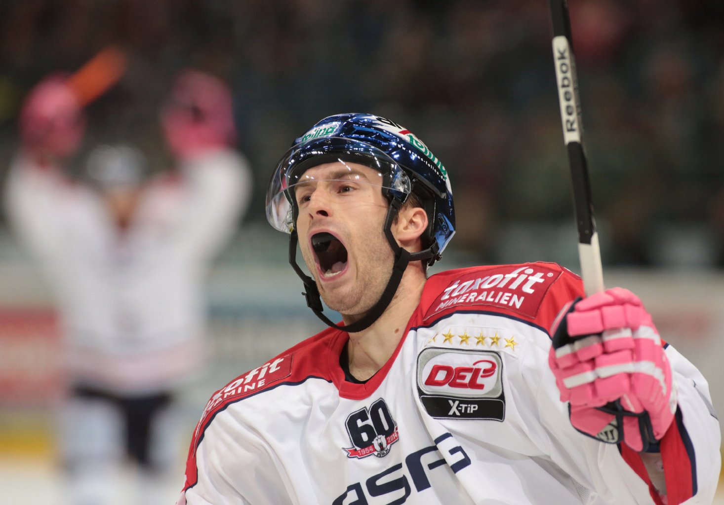 Image - Klasse-Torjäger: Eisbären setzen auf Pohlfühlfaktor