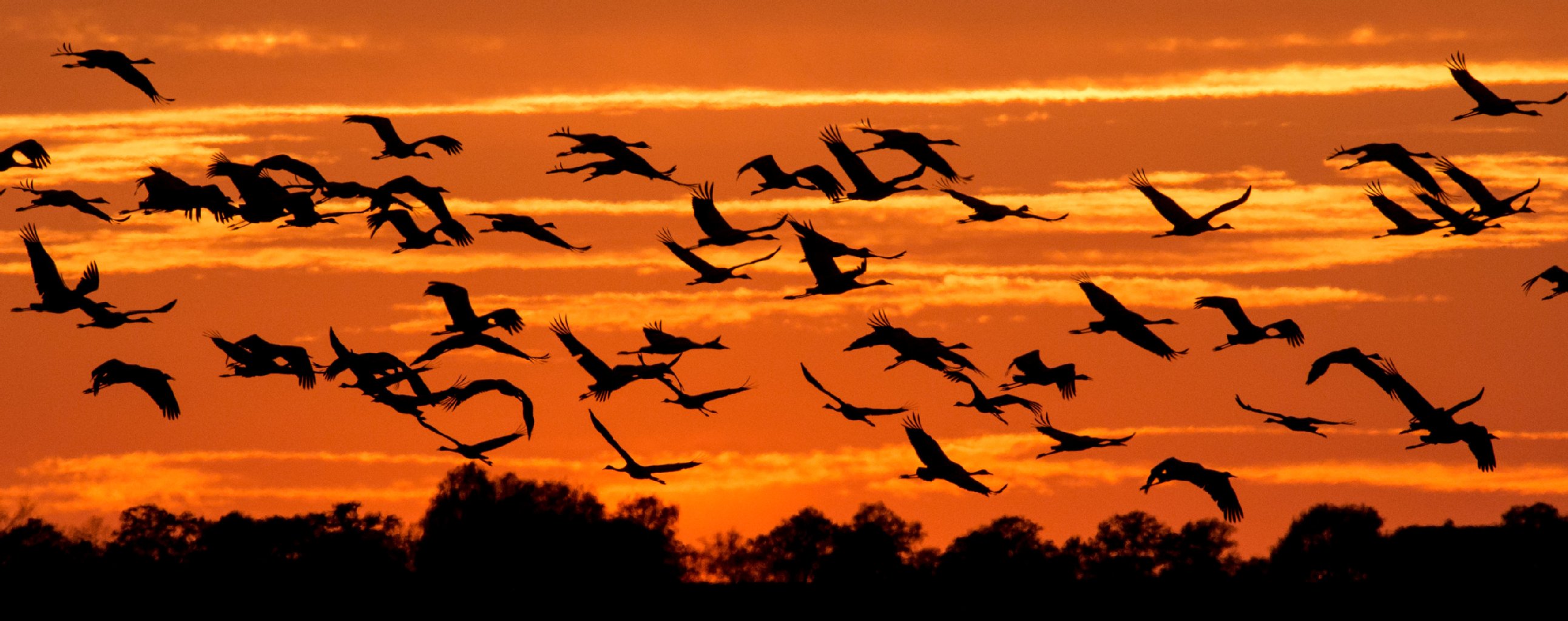 Frostige Böen: Herbststurm: Jetzt wird's richtig kalt
