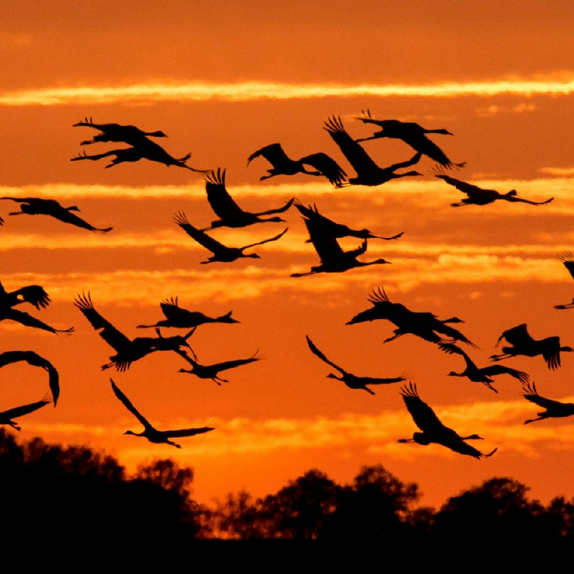 Frostige Böen: Herbststurm: Jetzt wird's richtig kalt