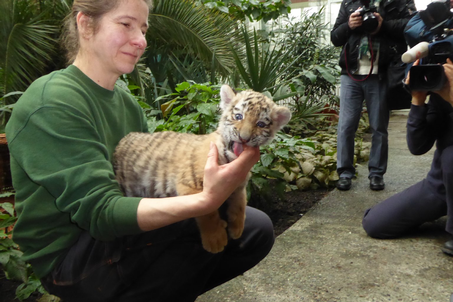 Zum Knuddeln süß – Alisha, der neue Tierpark-Star! Bei ihrem Auftritt in der Tropenhalle schnappt sie sich mit dem Mäulchen die Hand von Pflegerin Petra Schröder.