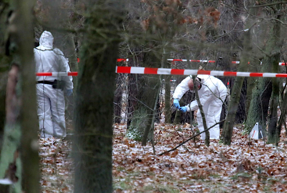In diesem Waldstück in Berlin-Adlershof wurde eine Frauenleiche entdeckt.