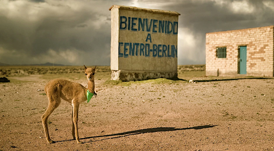Eins von 1000 Lamas im Zehn-Seelen-Berlin Boliviens. Wie man sieht, steht hier eine Mauer.
