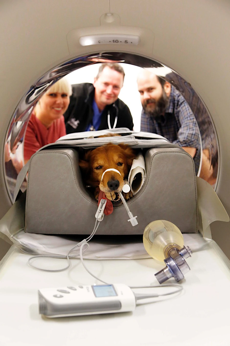 Willi mit Dr. Apelt und Dr. Fritsch am CT. Dana Rackow rettete ihn.