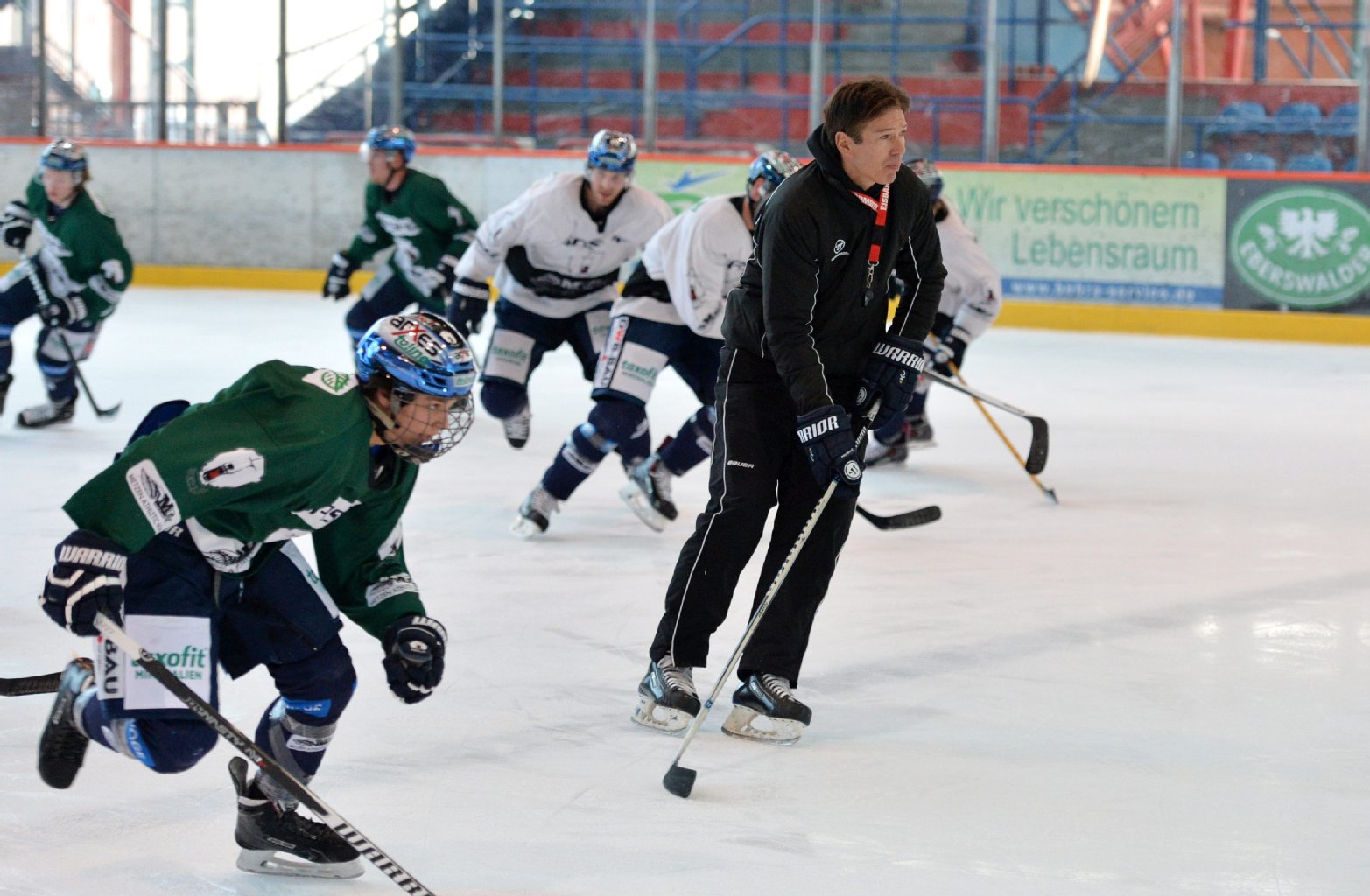 Image - Jetzt gilt es: Eisbären-Endspurt: Vier wollen euch siegen sehen!