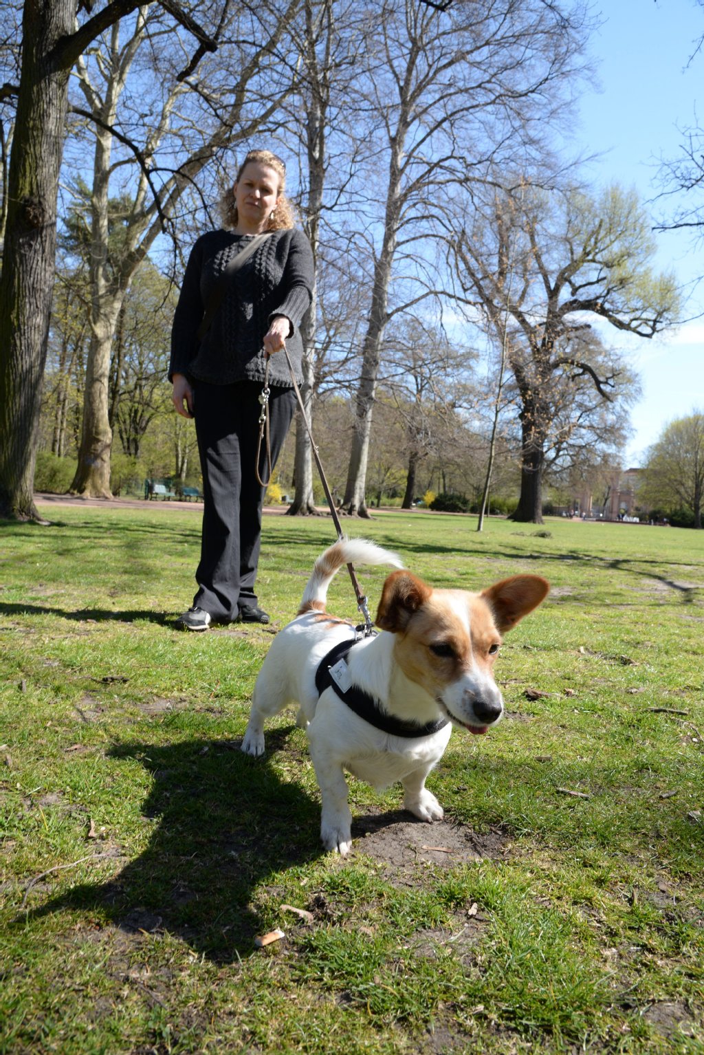 RasierklingenKöder So meidet Ihr Hund die tödliche Gefahr