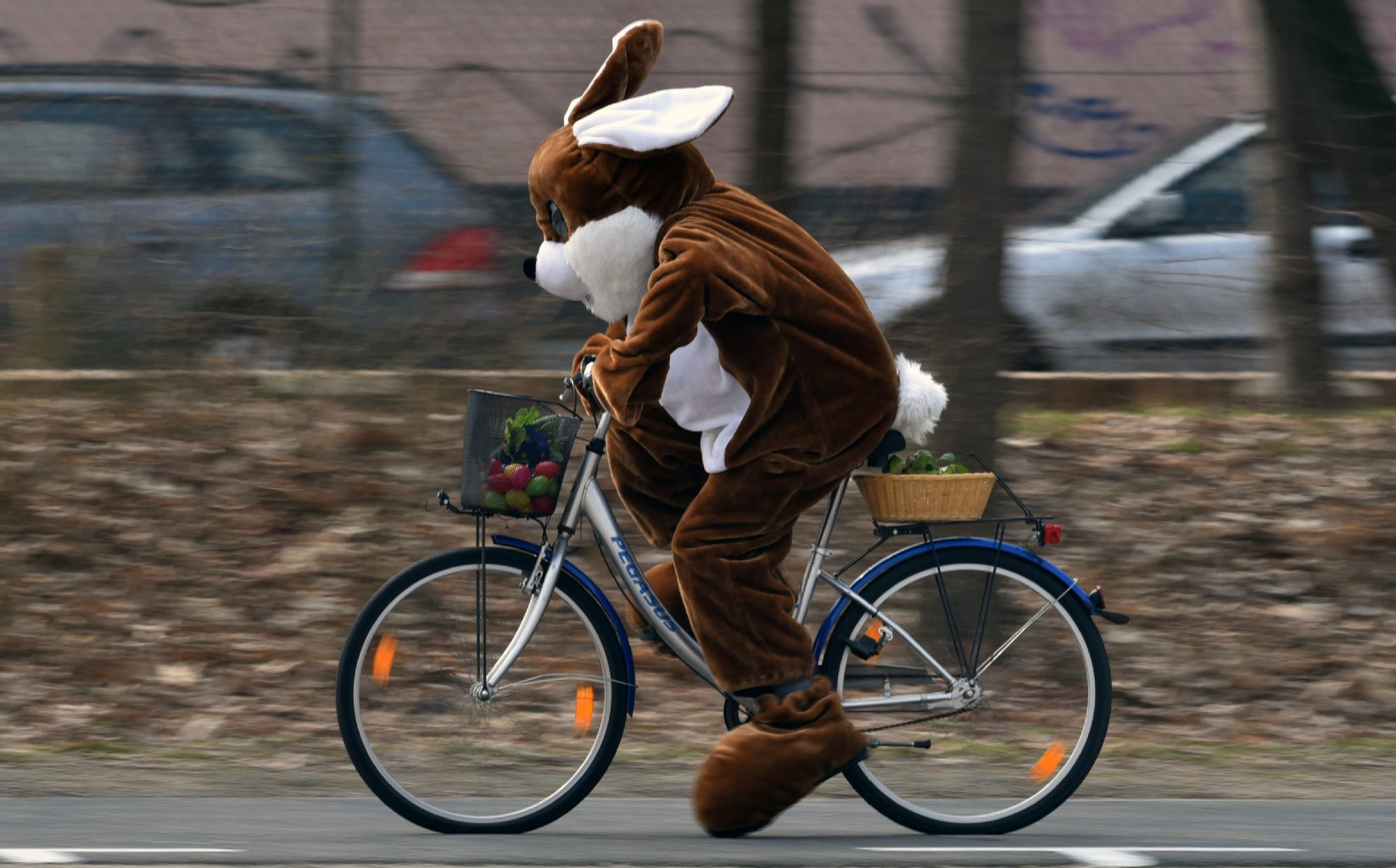 Der Mythos erklärt: Wie Ostern auf den Hasen kam