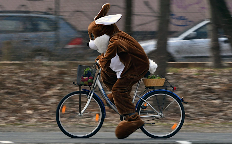 Manch Osterhase hat es durchaus eilig.